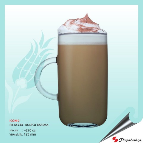 Iconıc Pb-55743 - Baskılı Kulplu Bardak 270 cc
