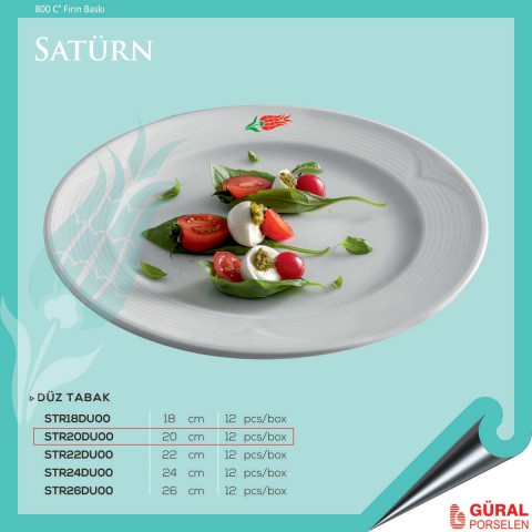 Baskılı Satürn Düz Tabak 20 cm